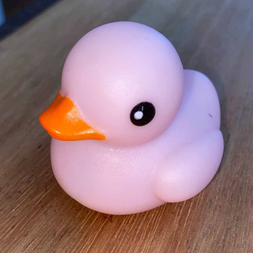 Light Pink Rubber Duck Jeep Ducking 🛻 Jeep Wrangler Accessory